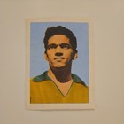 GARRINCHA AQUARELA BRAZIL SQUAD 1958 #7