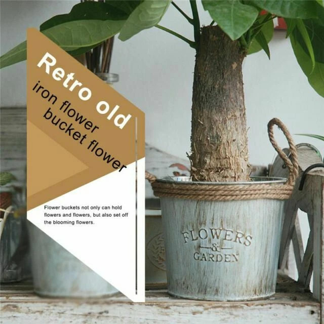 Bucket Baskets, Pots & Window Boxes