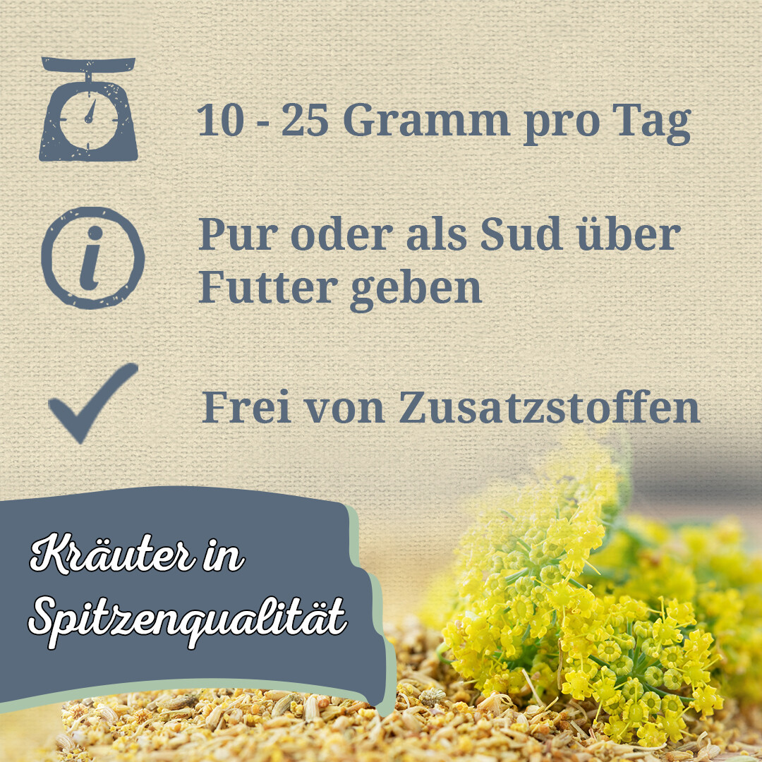 Bild 4 von 7