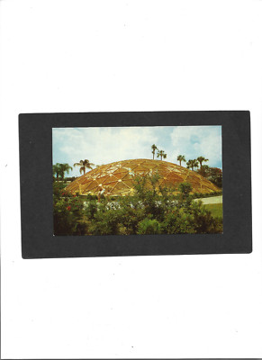 FLORIDA PC ''Geodesic Dome-Busch Gardens, Tampa''  UNUSED  No Writing  Very Clean