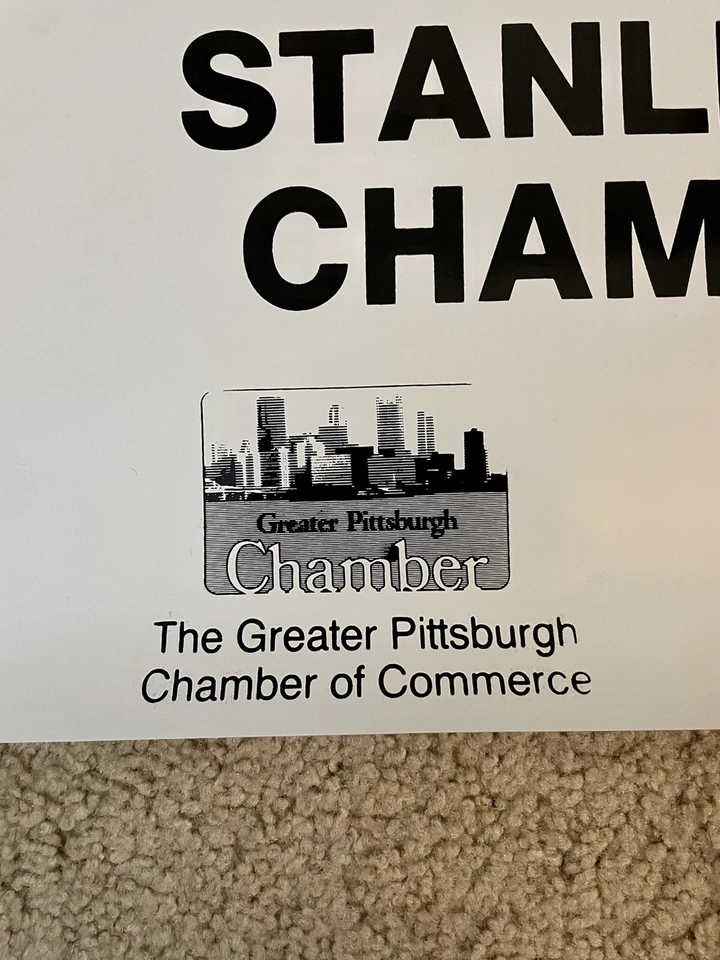 Reproduction City Of Pittsburgh Penguins Stanley Cup Back to Back Street Banner - Image 4 of 4