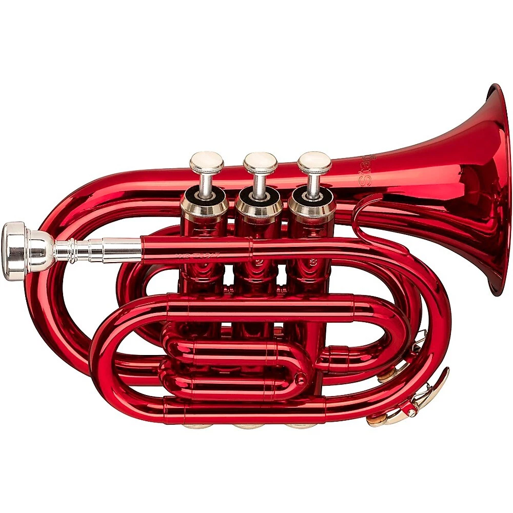 Stagg WS TR245 Series Bb Pocket Trumpet Red eBay