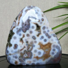 B3250-1257g Natural Polished OCEAN JASPER Furnishing articles Freeform Madagasca