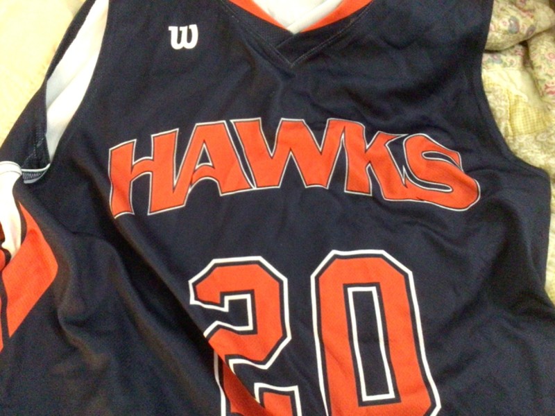 Atlanda Hawk Basketball Jersey, Wilson ProFB, ProFusion, size L, #20 Collins, ex