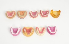 Dental Schaumodelle Zahnarzt Patientenaufklärung Implantate Zahnmodelle