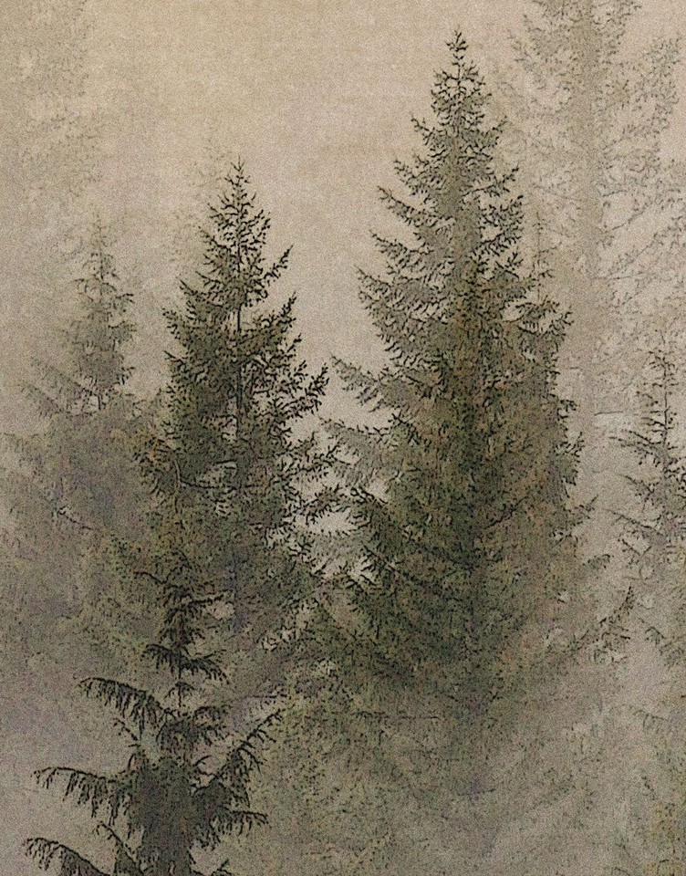 Misty Pine Tree Forest Landscape Wallpaper. Peel and Stick Wall Mural ...