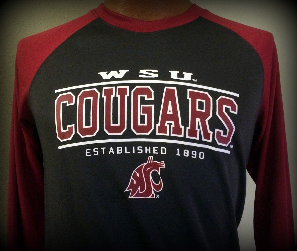 WASHINGTON STATE COUGARS COLOSSEUM ATHLETICS YOUTH XLARGE JERSEY SHIRT FREE  SHIP