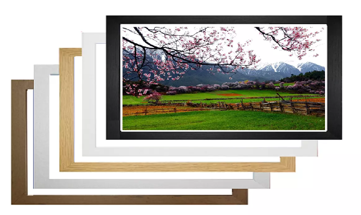 Large picture frames sale sizes