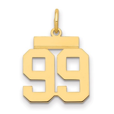 14k Yellow Gold Small Polished Number 99 Charm LS99