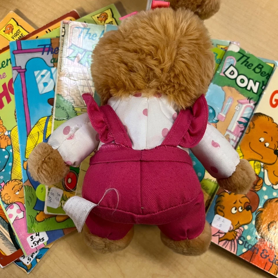 10 Berenstain Bears Book Lot 4 plush bear family Stan & Jan Berenstain books VTG - Image 4 of 4