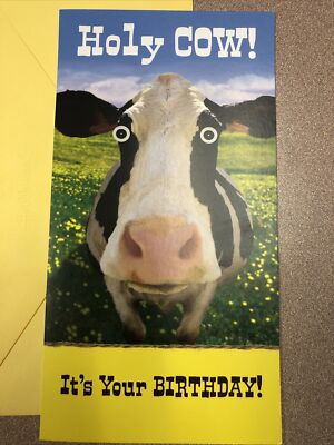 Kuh Geburtstagskarte – Holy Cow It's Your Birthday! Lustige Karte Für Männer & Frauen | Mit Hochlandkuh-Motiv, Inkl. Umschlag