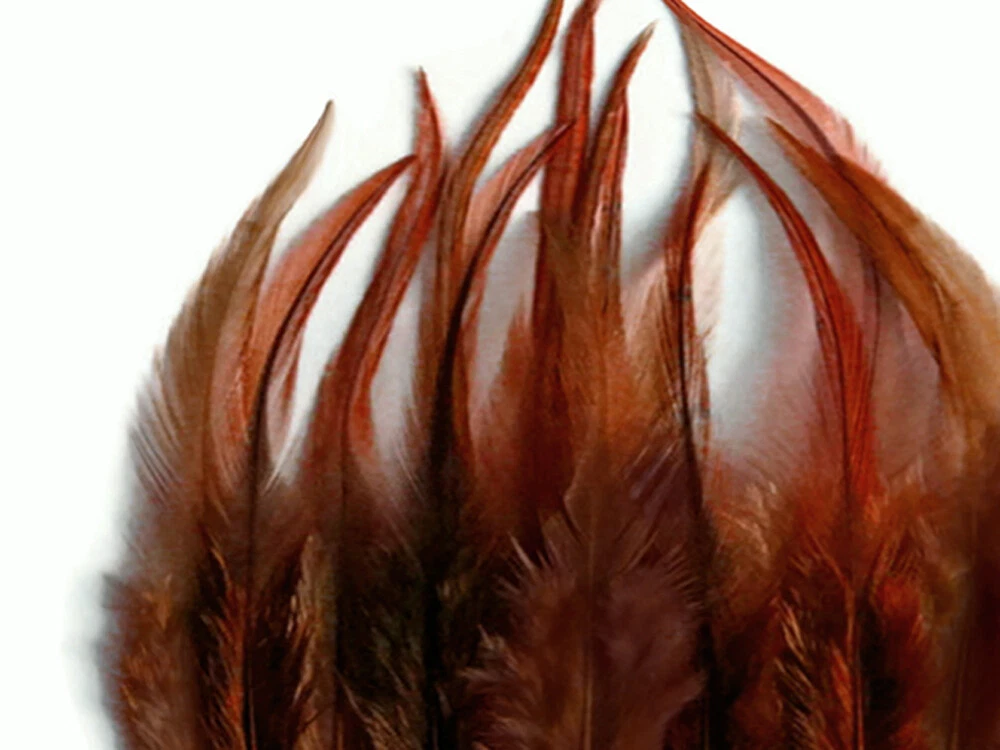 Hair feathers clearance ebay