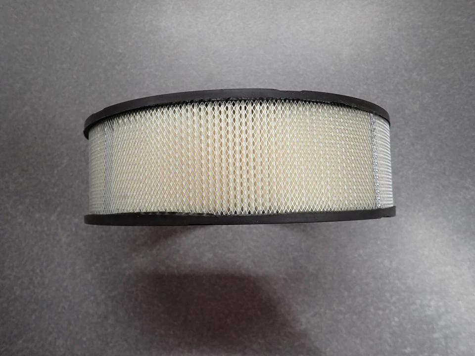 Buick Electra Invicta 1959 1960 filtro de aire LeSabre 364 401 cabezal de clavo 59 60 - NUEVO Foto 3 de 4