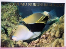 Hawaii state fish Humuhumunukunukuapuaa reef triggerfish Oversized Postcard 