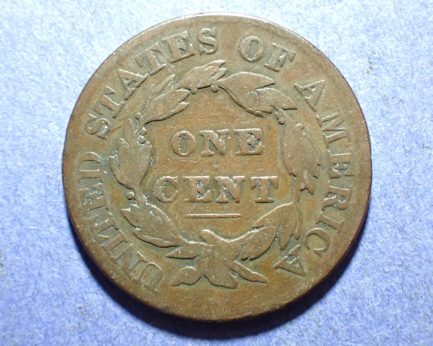 Picture 2