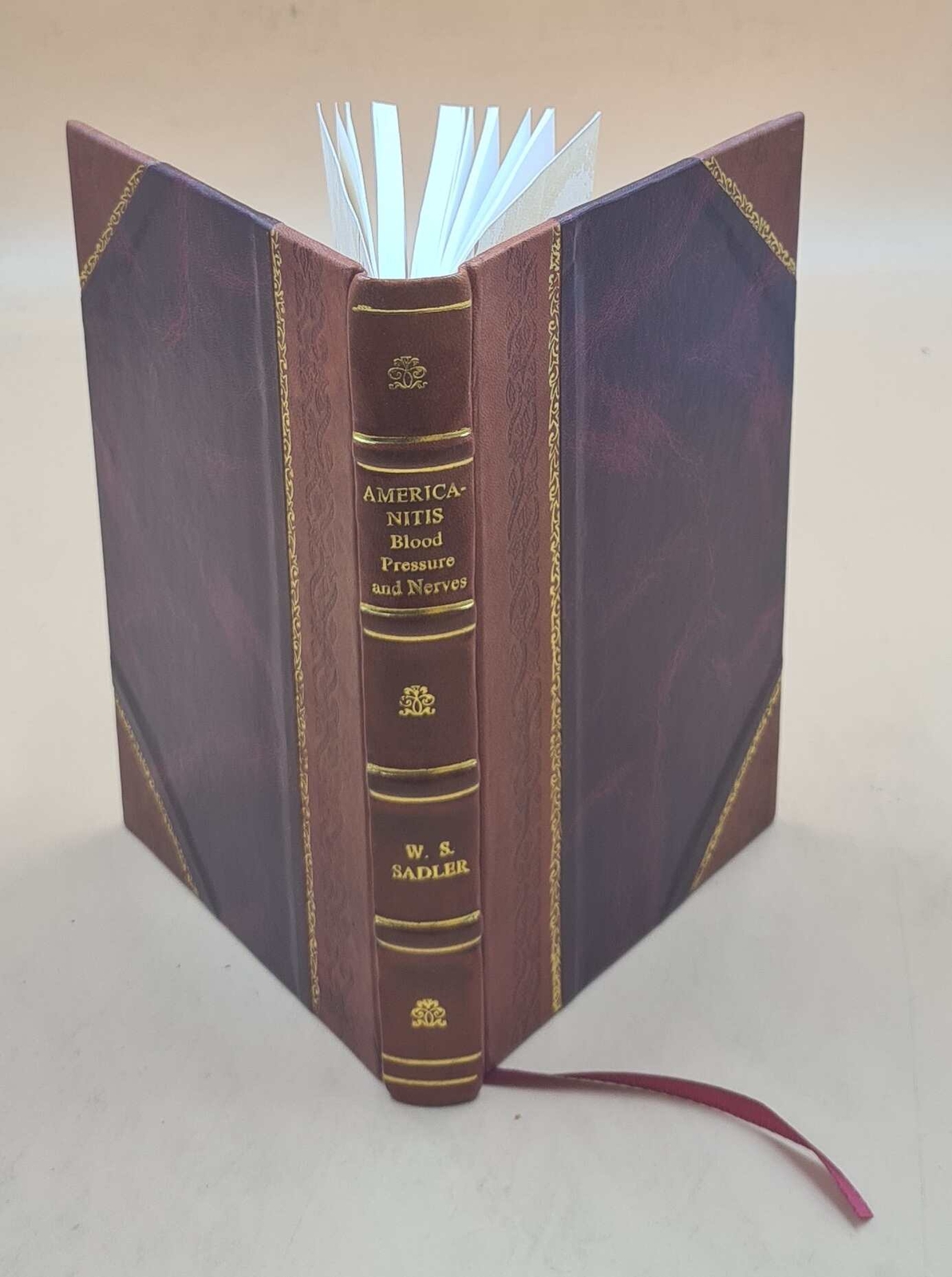 Americanitis - Blood Pressure And Nerves 1925 By William S. Sadler Leather Bound
