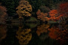 Landscape nature fall lake forest water reflection trees Custom Gaming Mat Desk