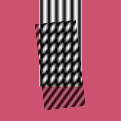 Hot Chip Why Make Sense? Music CDs New