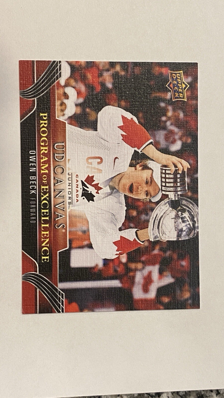 2023-24 Upper Deck Series 2 UD Canvas Program Of Excellence #C260 Owen Beck (RC)