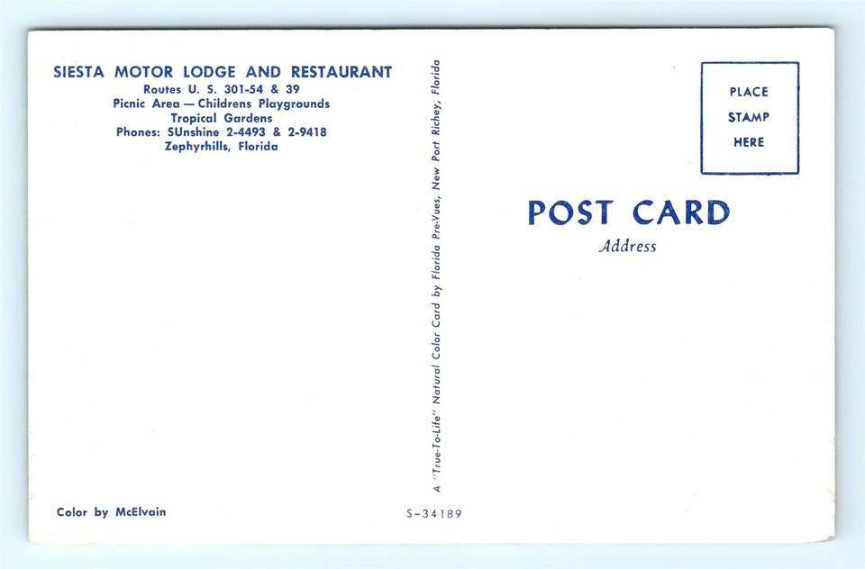 Postcard FL Zephyrhills Siesta Motor Lodge & Restaurant 1950's Cars E21
