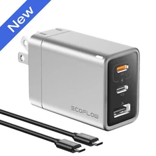 EcoFlow RAPID 65W GaN USB Type C USB Charger Block Plug Power Adapter with Cable