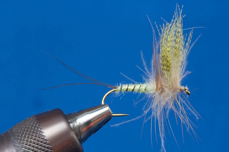 Fliegentom 1876 - Set CDC-Drake -  Maifliegen - Trockenfliegen - Bild 2 von 2