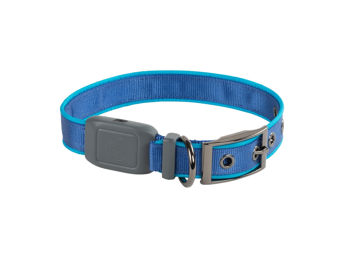 Collare Luminoso Cani Nite Ize NiteDog Blu M - Mai più Paura al Buio