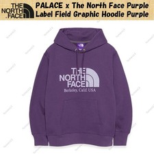 PALACE x The North Face Purple Label Field Graphic Hoodie Purple