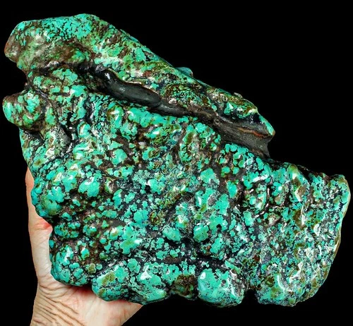 13248Ct Arizona Turquoise Rough Specimen Old stock YNSA16