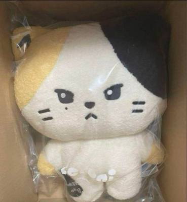 ZEROBASEONE ゼロニ フラットクッション rinini リニニ ZEROBASEONE · ZERONI Rinini Flat Cushion (PLUSH) [Rinini] (2024)