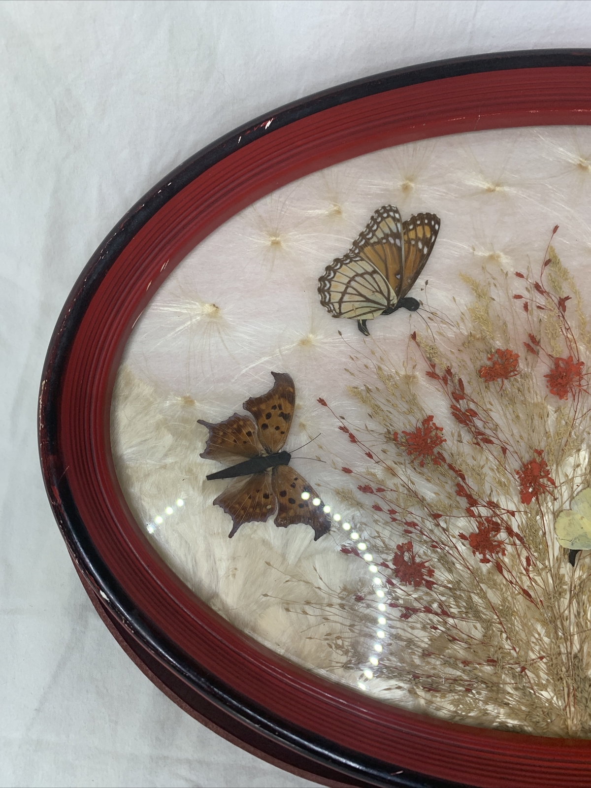 VTG Framed Inlaid Butterflies & Dried Flowers Under Glass Oval Tray w