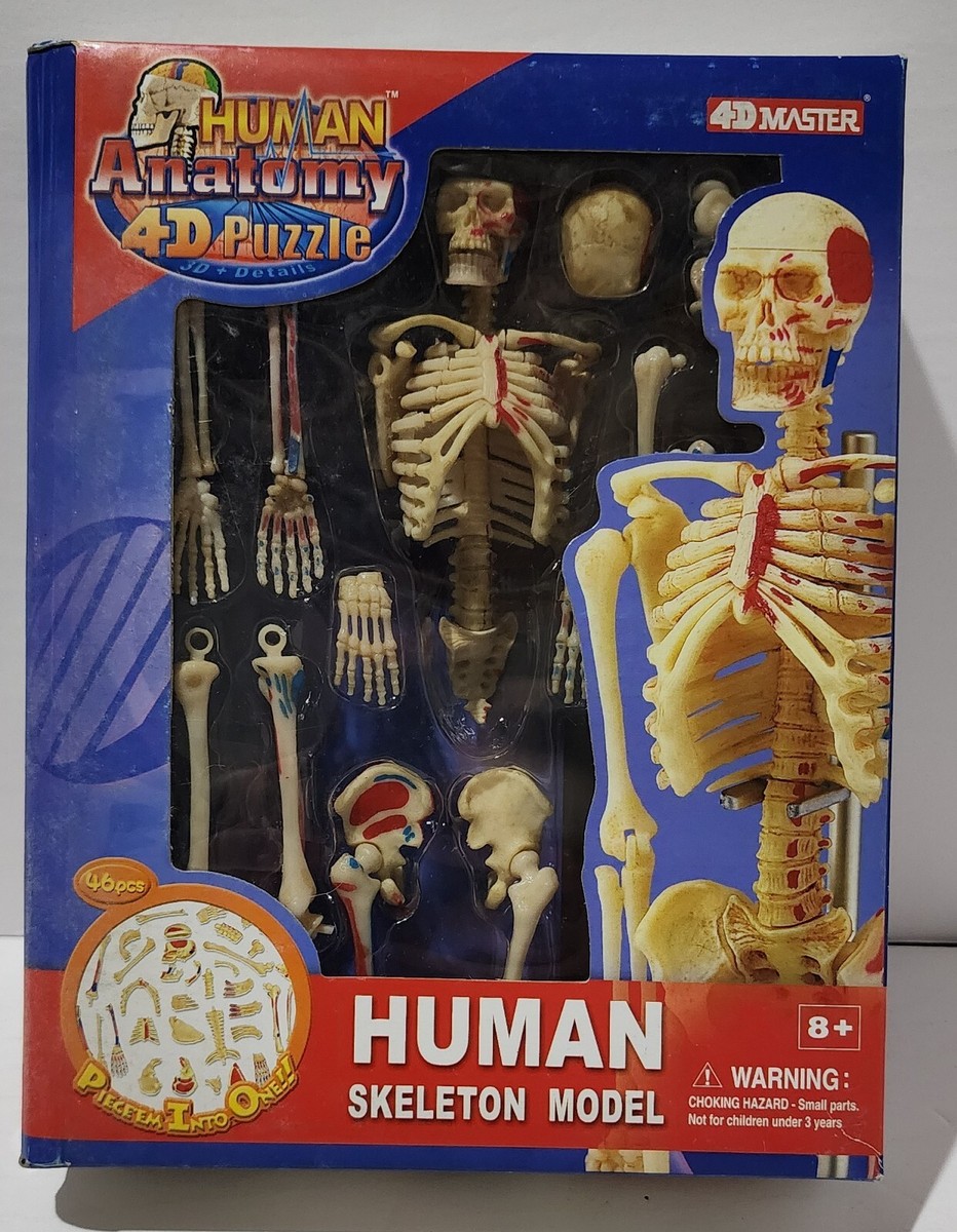 4D Master Puzzle Human Skeleton Model 46 Pcs 8+ 2005 NEW SEALED | eBay