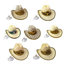 One Mini Mexican Palm Hat Car Decor Rear View Mirror With Hanger 5 One Mini Mexican Palm Hat Car Decor Rear View Mirror With Hanger 5