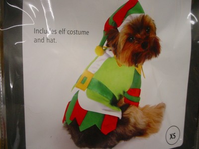 extra small dog accessories