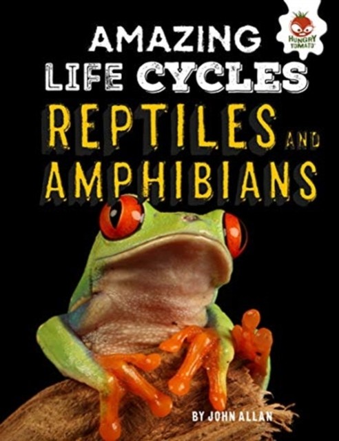 Reptiles and Amphibians - Amazing Life Cycles by John Allan (Paperback Book)