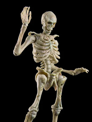1/12 KEEPGOING WHITE HUMAN SKELETON 2026 keep going infernal ballet tomb raiders