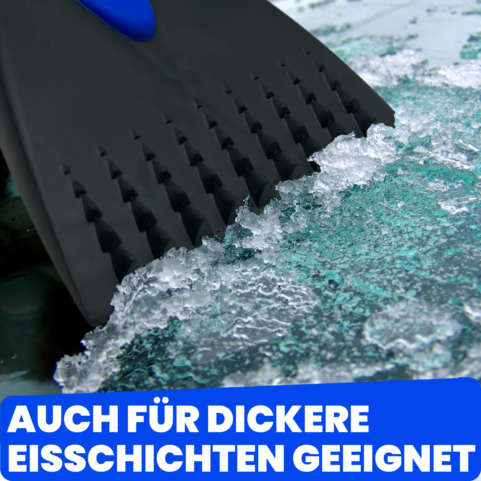 Bild 6 von 6