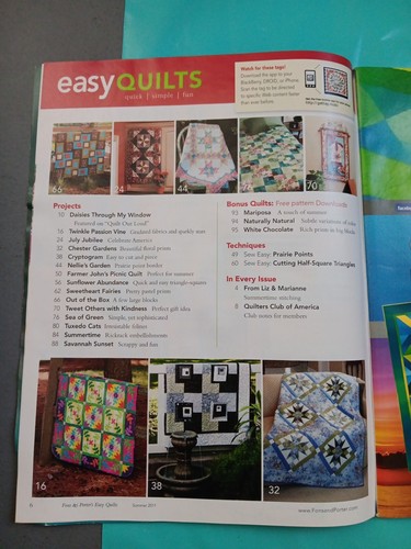 Fons & Porter's Easy Quilts Magazine Summer 2011 Farmer John's Picnic Quilt - Picture 4 of 6