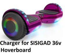 🔥power supply battery Charger for ALL SISIGAD 36V Y1 HOVERBOARD HY-A02 YT