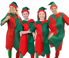 ADULTS CHILD CHRISTMAS ELF COSTUME FESTIVE SANTAS LITTLE HELPER XMAS FANCY DRESS