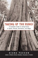 Taking Up The Runes: A Complete Guide To Usin...