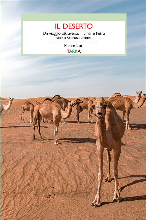 DESERTO. UN VIAGGIO ATTRAVERSO IL SINAI (IL) LOTI PIERRE