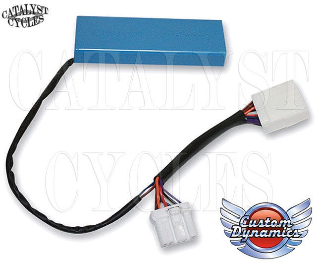 custom dynamics harley