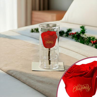 Speaking Roses Preserved Rose in Crystal Display | ''Merry Christmas'' Message
