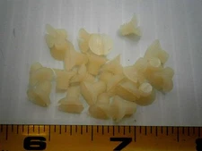 8-32 1/4" L slot flat head ms machine screw nylon lot of 100 #1029