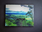 SHENANDOAH NATIONAL PARK VIRGINIA ORIGINAL 8 X 10  PHOTO Hwy 64 Overlook — photo 1