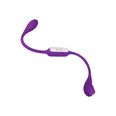EIS Vibrator, Wiederaufladbarer Doppelvibrator, 24,5 cm, wasserdicht (IPX7)  | eBay.de