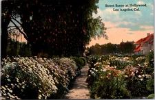 Hollywood CA Garden Scene 1920s - Photo Postcard