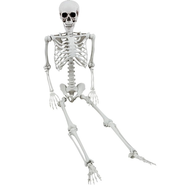 Halloween Skelett Dekoration Realistisch Bewegliche Gelenke GanzköRper 165Cm-image