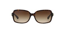 NEW Coach 8116 L087 Blair Sunglasses 500113 Havana 100 AUTHENTIC